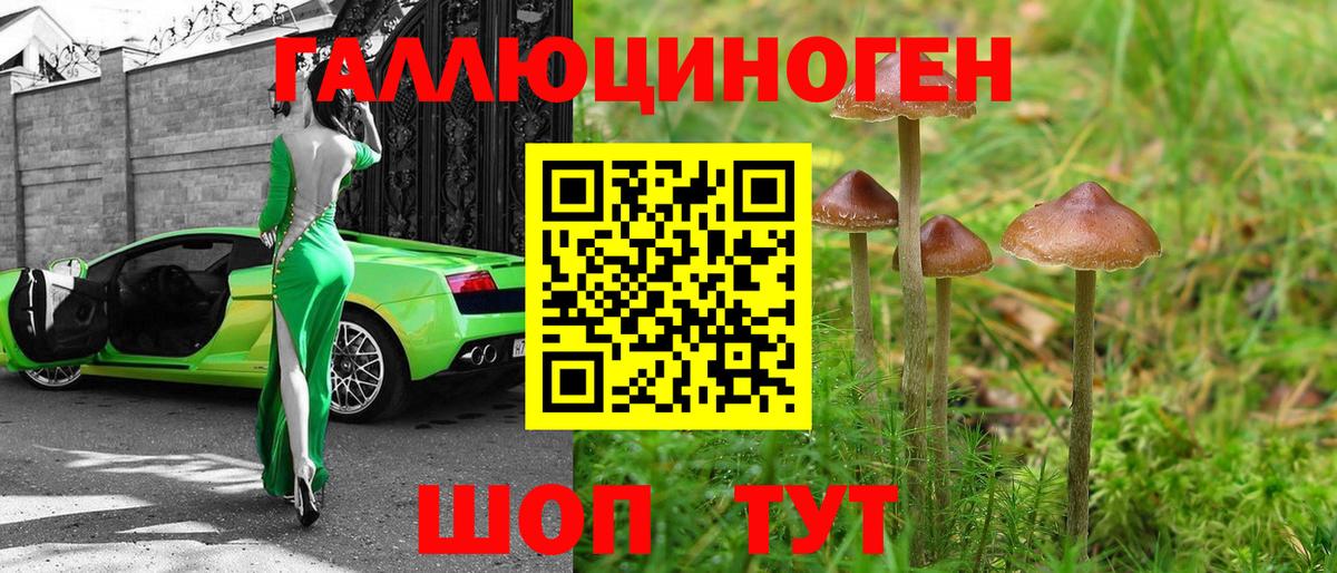 Галлюциногенные грибы мицелий Богородицк