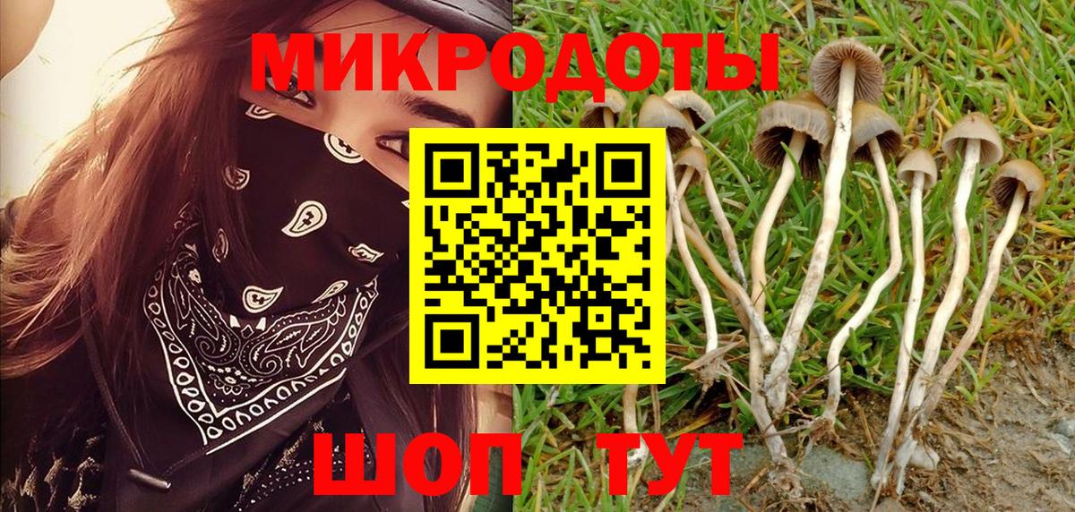 Псилоцибиновые грибы Magic Shrooms  Вход с VPN  Богородицк  Псилоцибиновые грибы MAGIC MUSHROOMS 